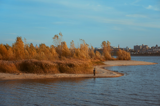 Angeln in Holland: Die besten Spots und Tipps